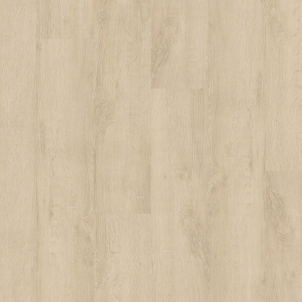 Carvalho Sacramento - Quick-Step - Imagem 2