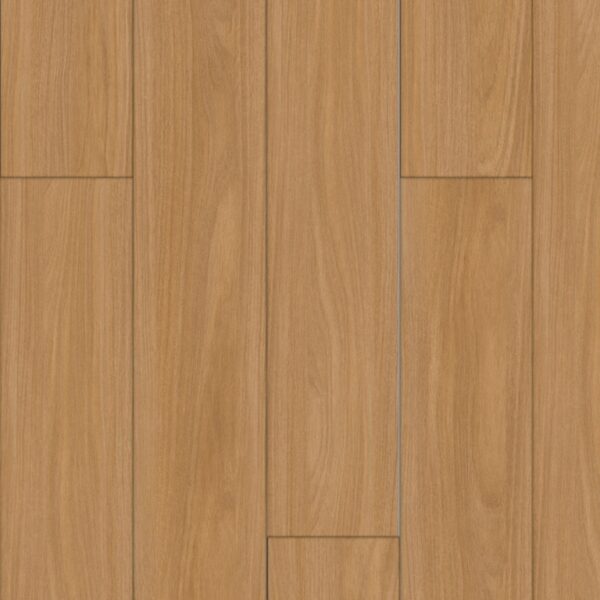 Imbirema - Quick-Step - Imagem 3