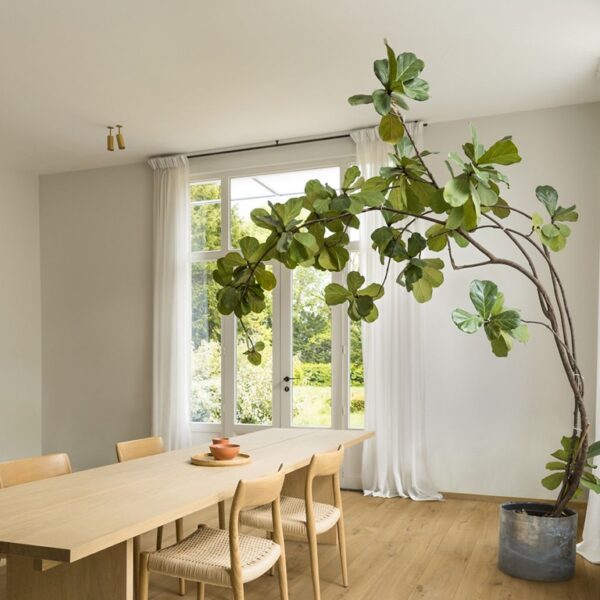 Carvalho natural soft - Quick-Step - Imagem 6