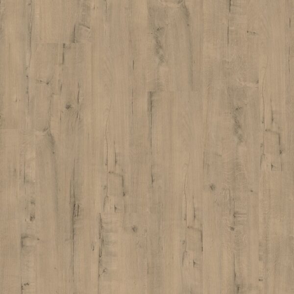New Pegasus - Quick-Step - Imagem 2