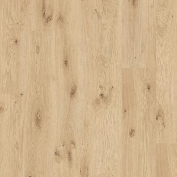 Candelária - Quick-Step - Imagem 2