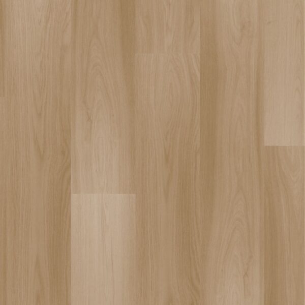 Mocha - Quick-Step - Imagem 2