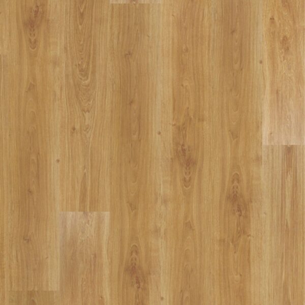 Carvalho Vitoriano - Quick-Step - Imagem 2